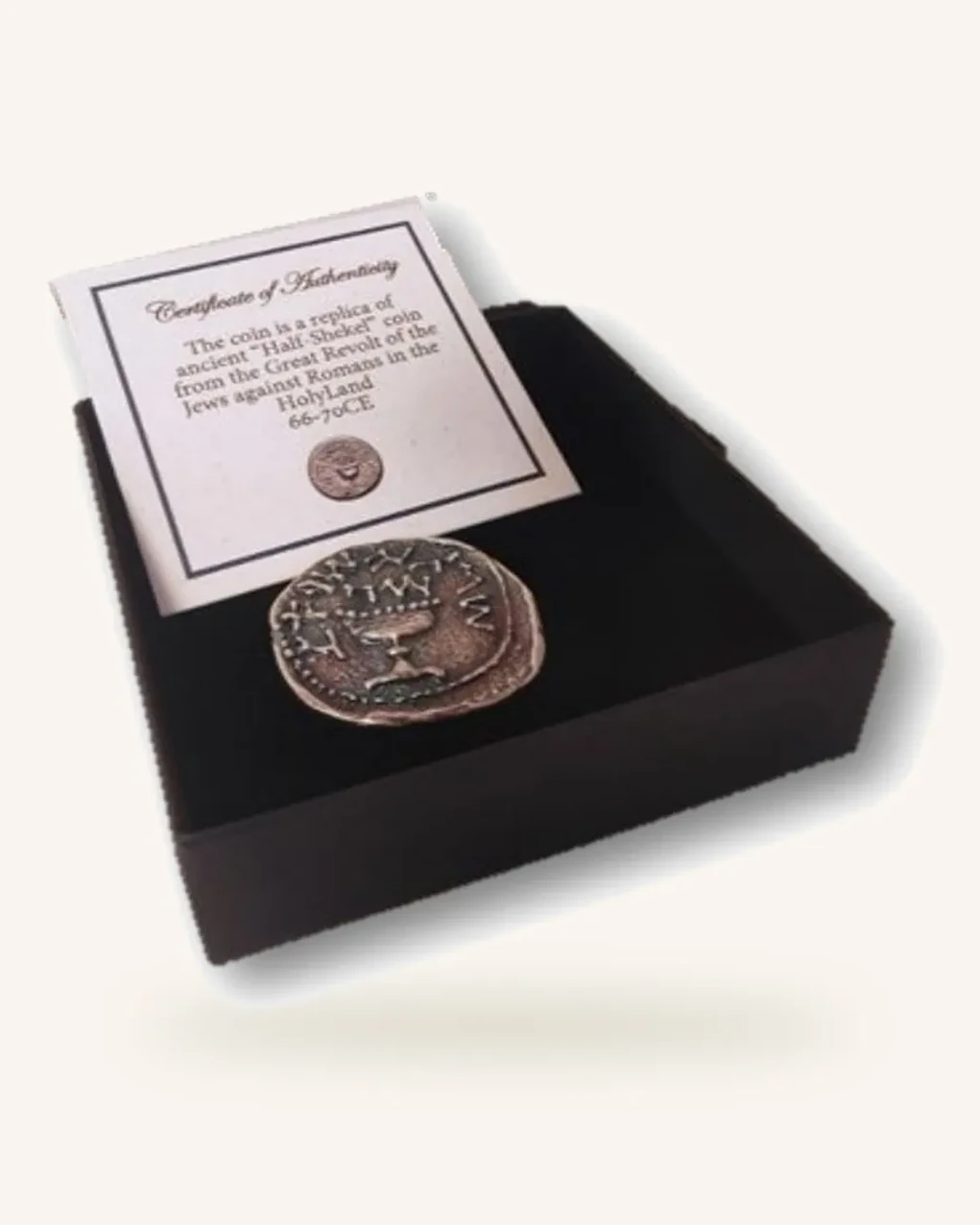 Challenge Coin – Half Shekel