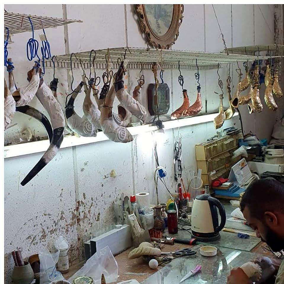 Shofar workshop in the Holy Land with natural shofars in preparation